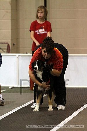 Dawg Derby Flyball Tournement<br />July 12, 2009<br />Classic Center<br />Athens, Ga