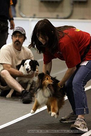 Dawg Derby Flyball Tournement<br />July 12, 2009<br />Classic Center<br />Athens, Ga