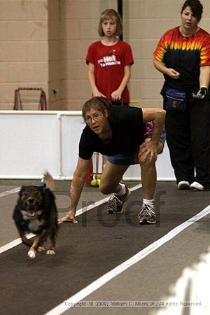 Dawg Derby Flyball Tournement<br />July 12, 2009<br />Classic Center<br />Athens, Ga