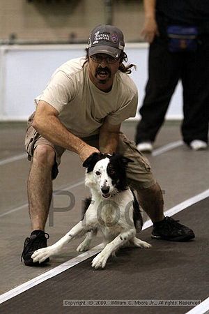 Dawg Derby Flyball Tournement<br />July 12, 2009<br />Classic Center<br />Athens, Ga