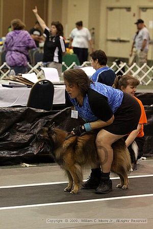 Dawg Derby Flyball Tournement<br />July 12, 2009<br />Classic Center<br />Athens, Ga