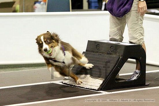 Dawg Derby Flyball Tournement<br />July 12, 2009<br />Classic Center<br />Athens, Ga