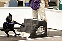 img_1079_thm.jpg