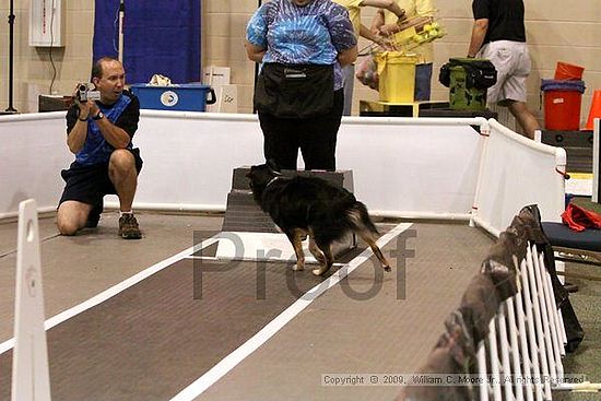 Dawg Derby Flyball Tournement<br />July 12, 2009<br />Classic Center<br />Athens, Ga