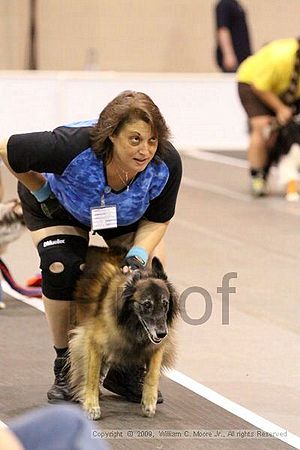 Dawg Derby Flyball Tournement<br />July 12, 2009<br />Classic Center<br />Athens, Ga