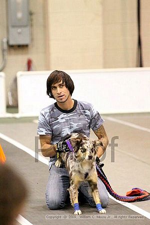 Dawg Derby Flyball Tournement<br />July 12, 2009<br />Classic Center<br />Athens, Ga