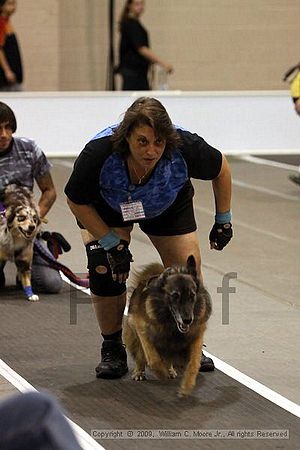 Dawg Derby Flyball Tournement<br />July 12, 2009<br />Classic Center<br />Athens, Ga