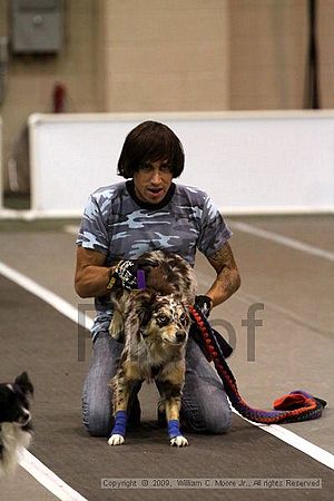 Dawg Derby Flyball Tournement<br />July 12, 2009<br />Classic Center<br />Athens, Ga