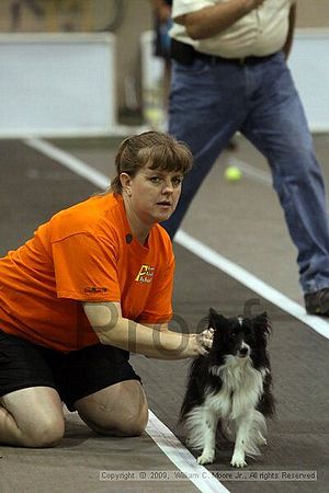 Dawg Derby Flyball Tournement<br />July 12, 2009<br />Classic Center<br />Athens, Ga