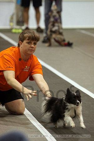 Dawg Derby Flyball Tournement<br />July 12, 2009<br />Classic Center<br />Athens, Ga