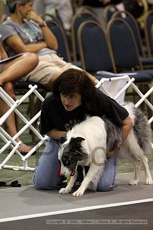 Dawg Derby Flyball Tournement<br />July 12, 2009<br />Classic Center<br />Athens, Ga