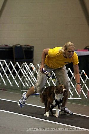 Dawg Derby Flyball Tournement<br />July 12, 2009<br />Classic Center<br />Athens, Ga