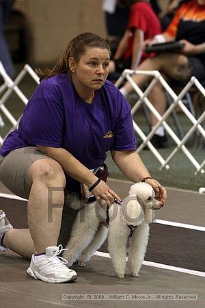 Dawg Derby Flyball Tournement<br />July 12, 2009<br />Classic Center<br />Athens, Ga