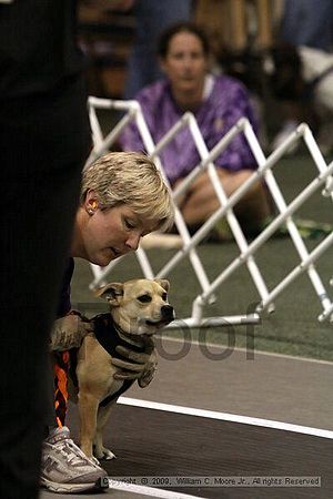 Dawg Derby Flyball Tournement<br />July 12, 2009<br />Classic Center<br />Athens, Ga