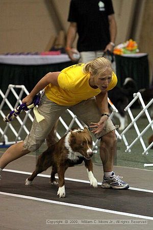 Dawg Derby Flyball Tournement<br />July 12, 2009<br />Classic Center<br />Athens, Ga