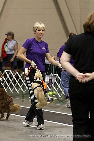 Dawg Derby Flyball Tournement<br />July 12, 2009<br />Classic Center<br />Athens, Ga