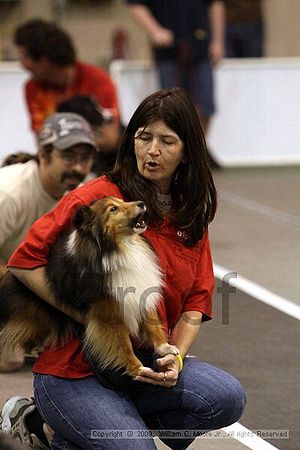 Dawg Derby Flyball Tournement<br />July 12, 2009<br />Classic Center<br />Athens, Ga