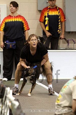 Dawg Derby Flyball Tournement<br />July 12, 2009<br />Classic Center<br />Athens, Ga