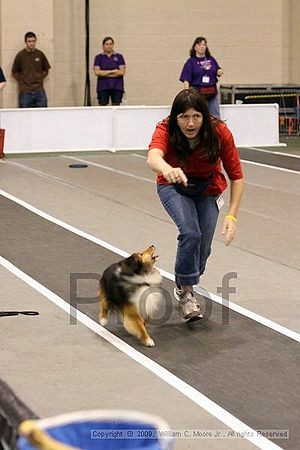 Dawg Derby Flyball Tournement<br />July 12, 2009<br />Classic Center<br />Athens, Ga