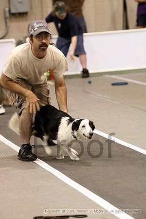 Dawg Derby Flyball Tournement<br />July 12, 2009<br />Classic Center<br />Athens, Ga