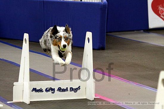 MCRD Heart and Soul FDlyball Tournement<br />February 14th, 2009