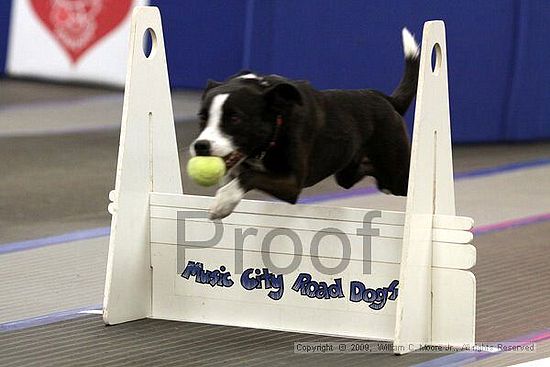 MCRD Heart and Soul FDlyball Tournement<br />February 14th, 2009