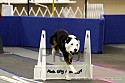 img_1680_thm.jpg