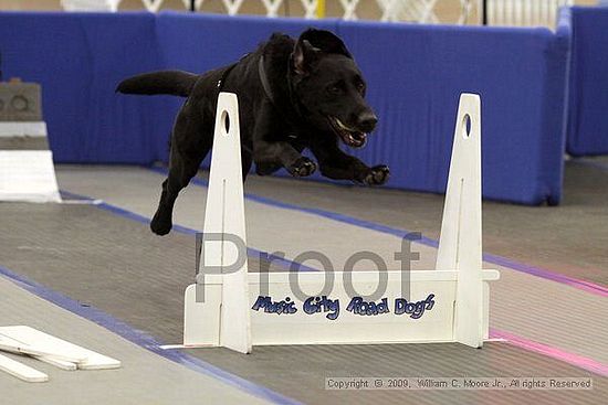 MCRD Heart and Soul FDlyball Tournement<br />February 14th, 2009