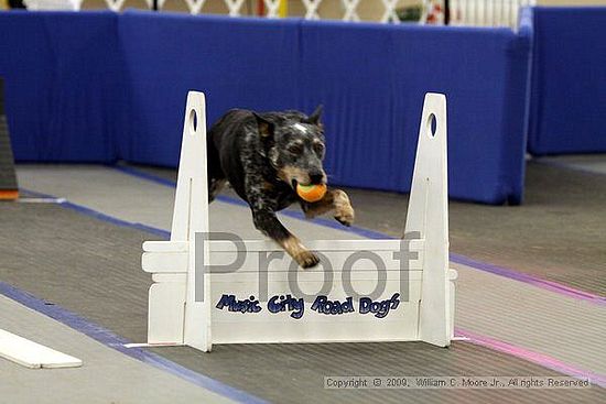 MCRD Heart and Soul FDlyball Tournement<br />February 14th, 2009