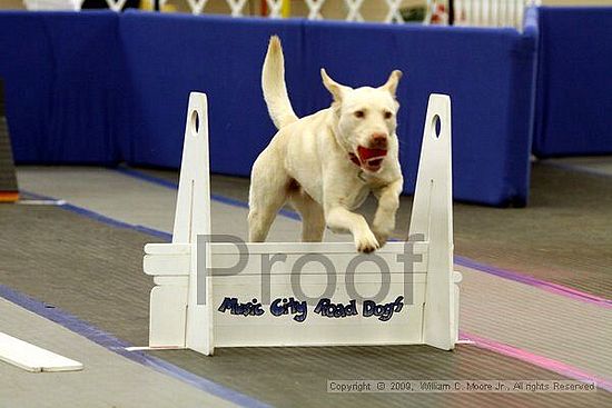 MCRD Heart and Soul FDlyball Tournement<br />February 14th, 2009
