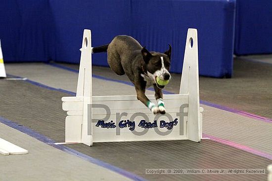 MCRD Heart and Soul FDlyball Tournement<br />February 14th, 2009