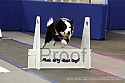 img_1794_thm.jpg