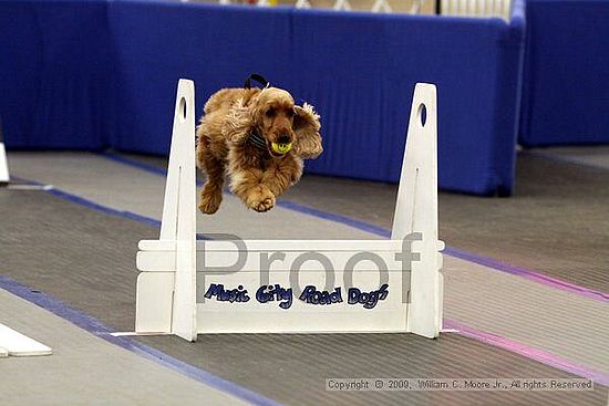 MCRD Heart and Soul FDlyball Tournement<br />February 14th, 2009
