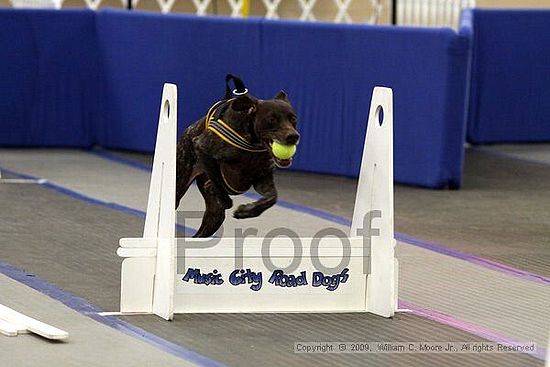 MCRD Heart and Soul FDlyball Tournement<br />February 14th, 2009