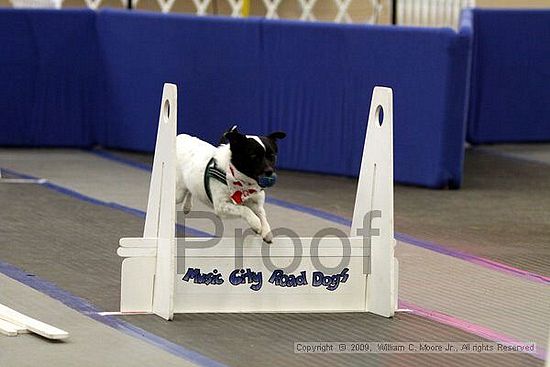 MCRD Heart and Soul FDlyball Tournement<br />February 14th, 2009