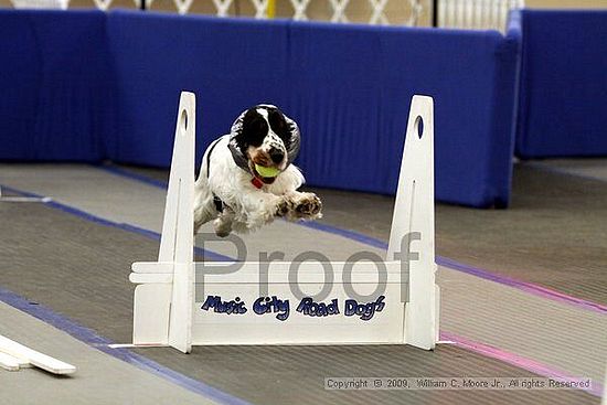 MCRD Heart and Soul FDlyball Tournement<br />February 14th, 2009