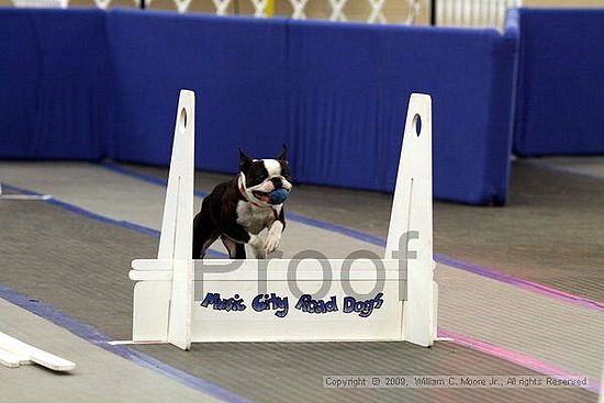 MCRD Heart and Soul FDlyball Tournement<br />February 14th, 2009