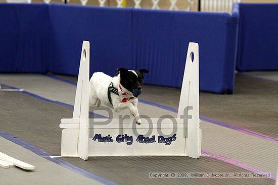 MCRD Heart and Soul FDlyball Tournement<br />February 14th, 2009