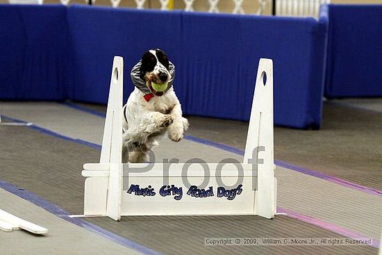 MCRD Heart and Soul FDlyball Tournement<br />February 14th, 2009