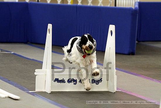MCRD Heart and Soul FDlyball Tournement<br />February 14th, 2009