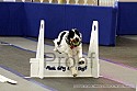 img_1816_thm.jpg