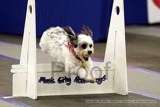 MCRD Heart and Soul FDlyball Tournement<br />February 14th, 2009