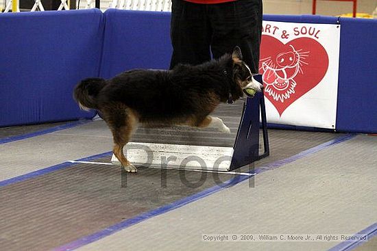 MCRD Heart and Soul FDlyball Tournement<br />February 14th, 2009