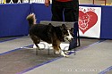 img_1999_thm.jpg