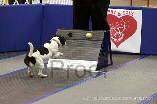 MCRD Heart and Soul FDlyball Tournement<br />February 14th, 2009