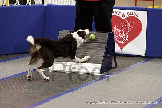 MCRD Heart and Soul FDlyball Tournement<br />February 14th, 2009