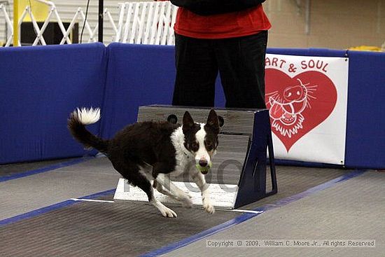 MCRD Heart and Soul FDlyball Tournement<br />February 14th, 2009