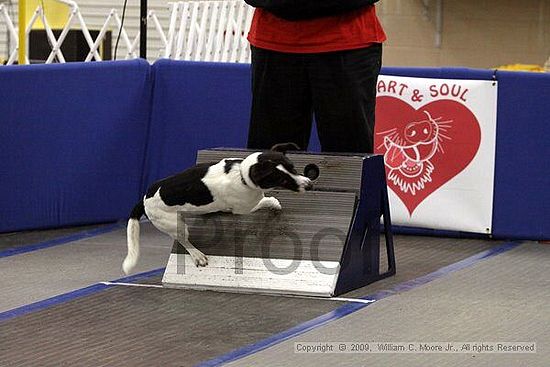 MCRD Heart and Soul FDlyball Tournement<br />February 14th, 2009