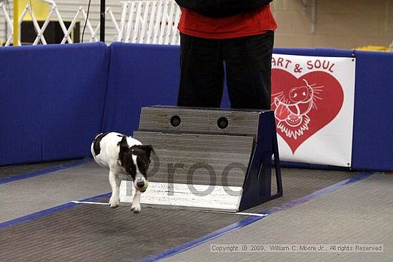 MCRD Heart and Soul FDlyball Tournement<br />February 14th, 2009