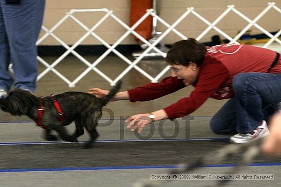 MCRD Heart and Soul FDlyball Tournement<br />February 14th, 2009
